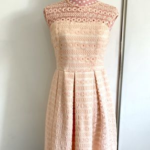 Lindy Bop Blush Pink Lace Dress